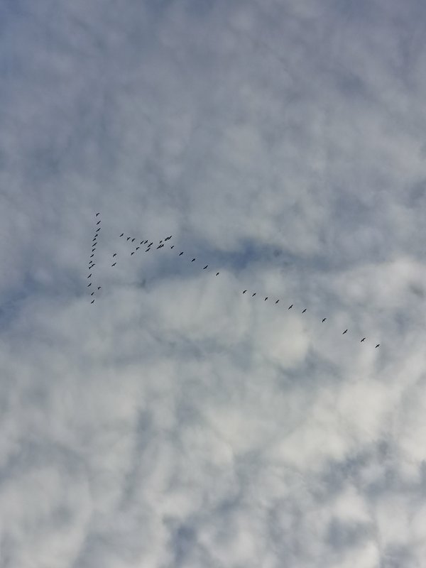 IMG_20191005_174910.jpg