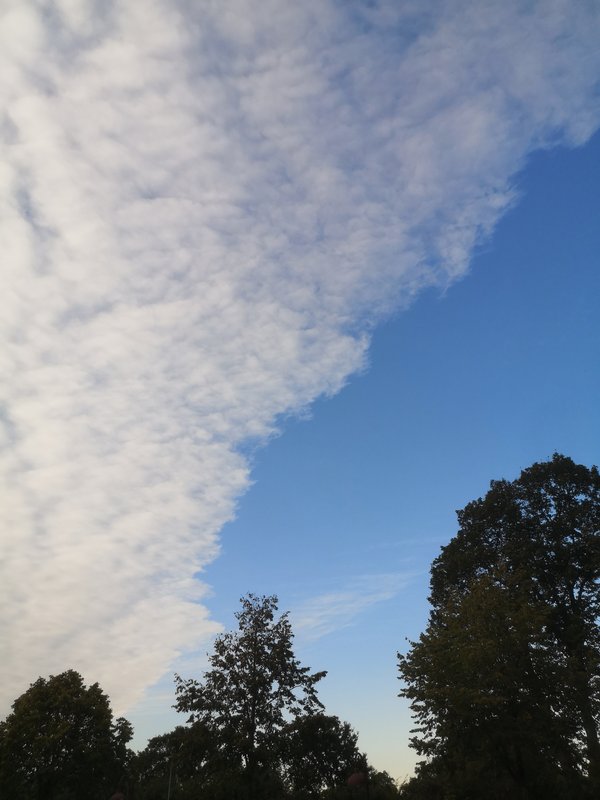 IMG_20191005_174937.jpg