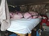 IMG_20191002_171923.jpg