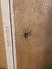 IMG_20191002_172431.jpg