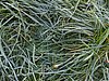 PXL_20251018_072002942.jpg