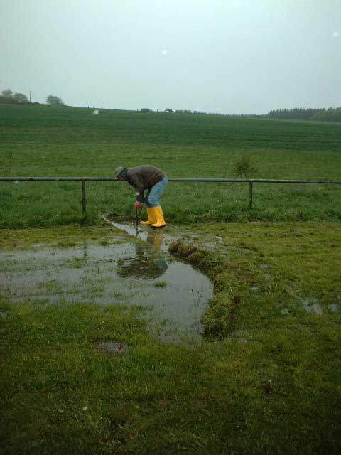 Am meisten Mistwetter