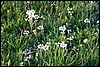IMG_0045.JPG