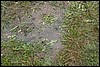 IMG_0118.JPG