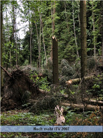 DSCN5874.JPG