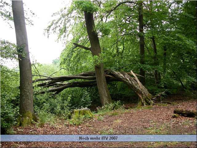 DSCN5875.JPG