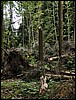 DSCN5874.JPG