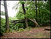 DSCN5875.JPG