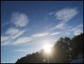 IMG_20200521_192407.jpg