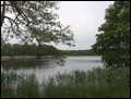 IMG_20200522_184657.jpg
