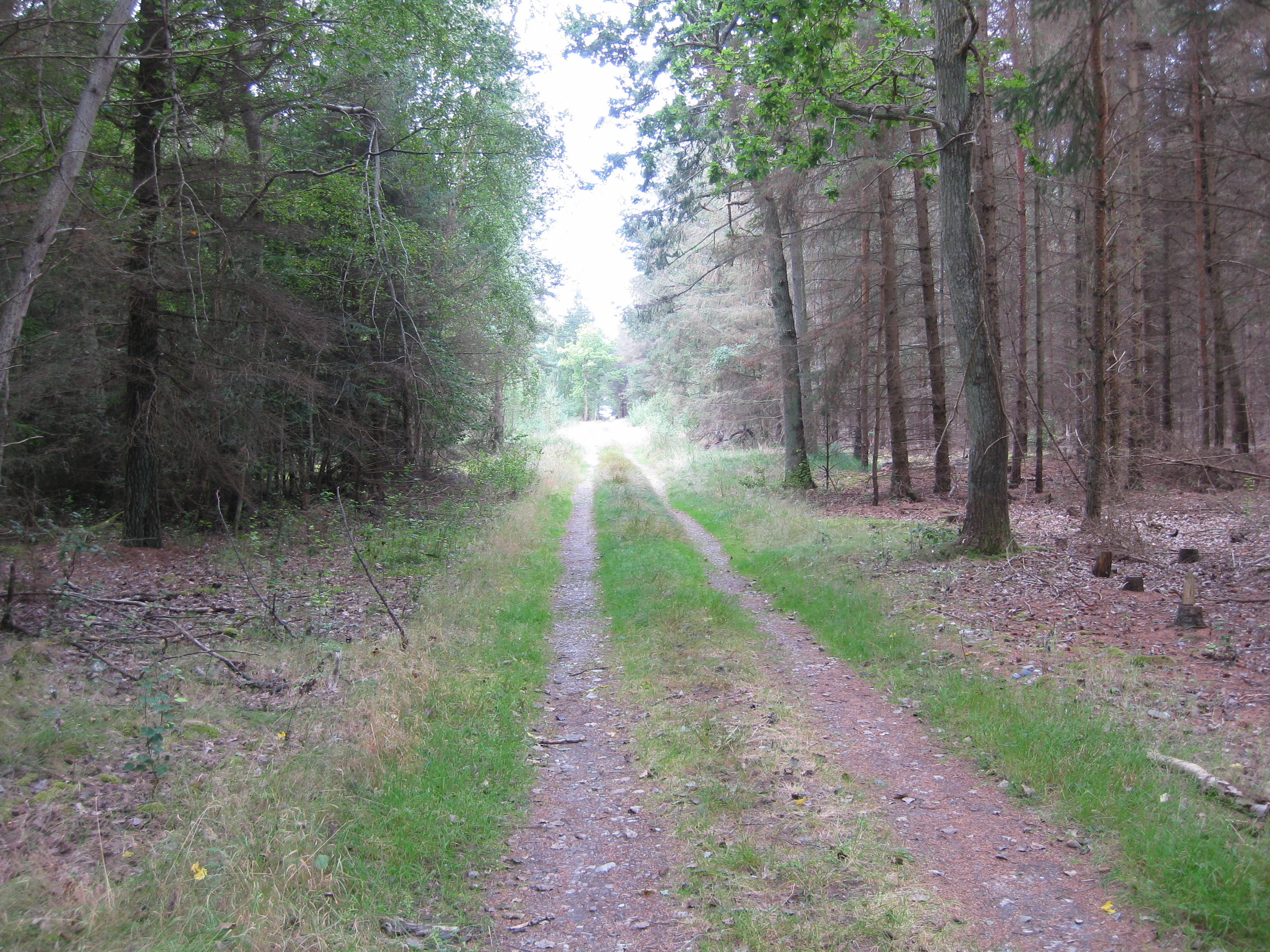 60 KM Wanderung um Sams&ouml; (20.08.2020)