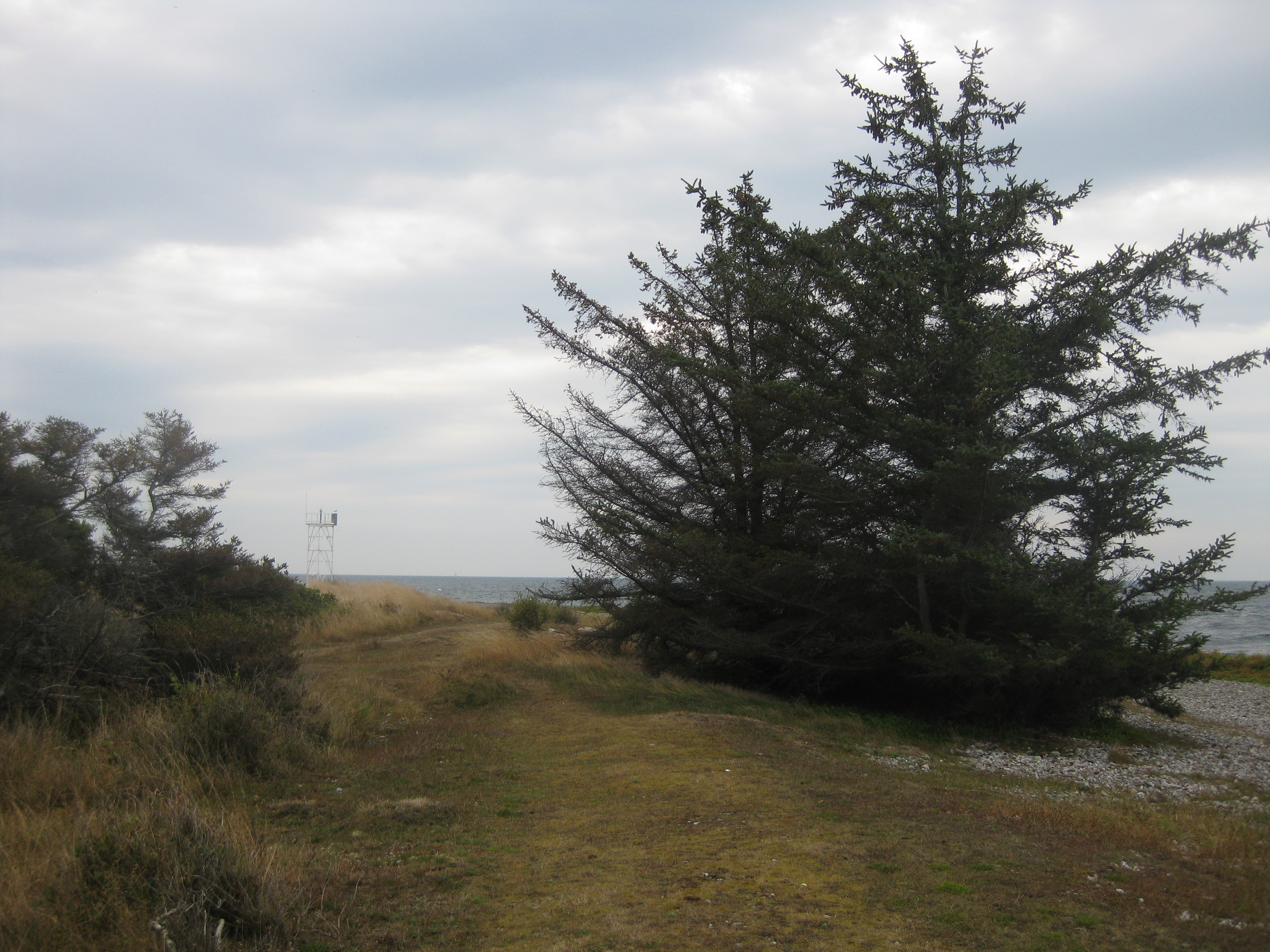 60 KM Wanderung um Sams&ouml; (20.08.2020)