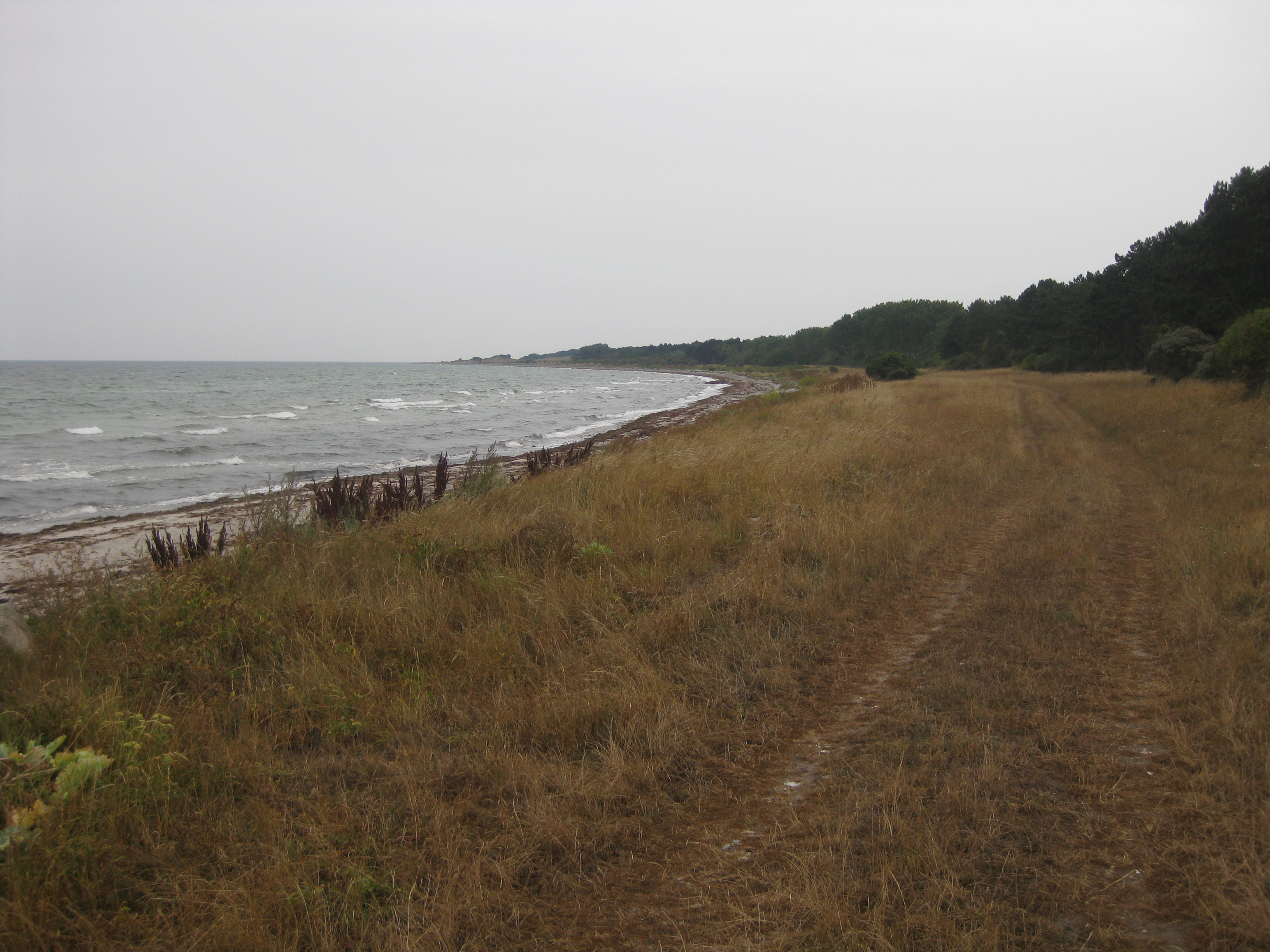 60 KM Wanderung um Sams&ouml; (20.08.2020)