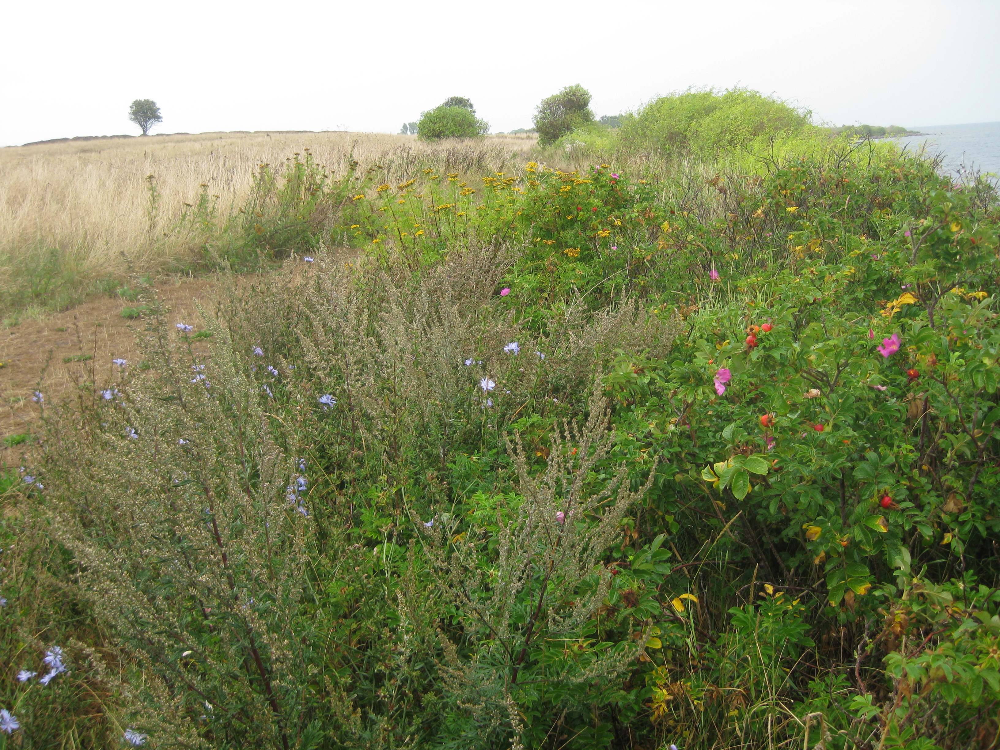 60 KM Wanderung um Sams&ouml; (20.08.2020)