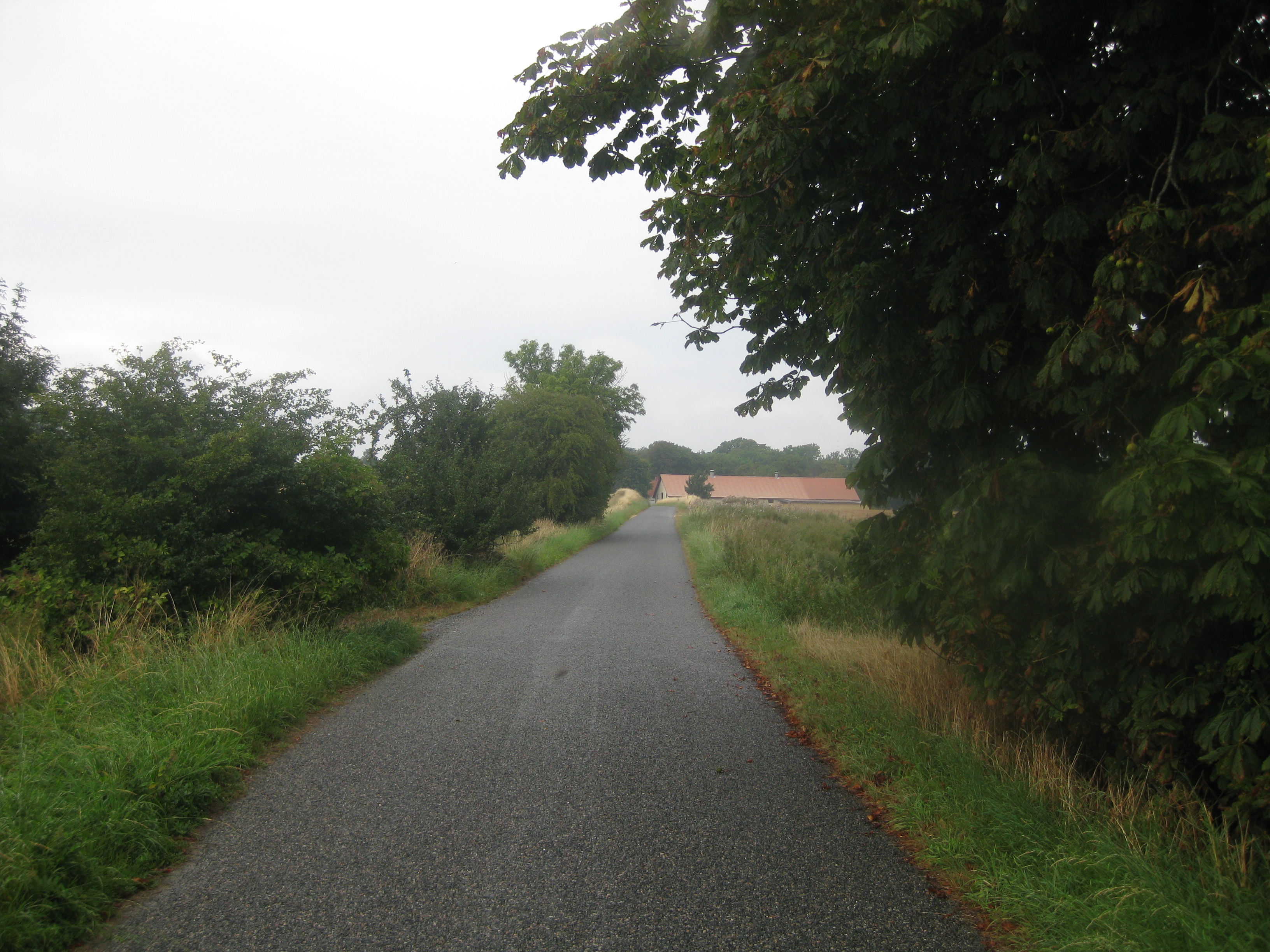 60 KM Wanderung um Sams&ouml; (20.08.2020)