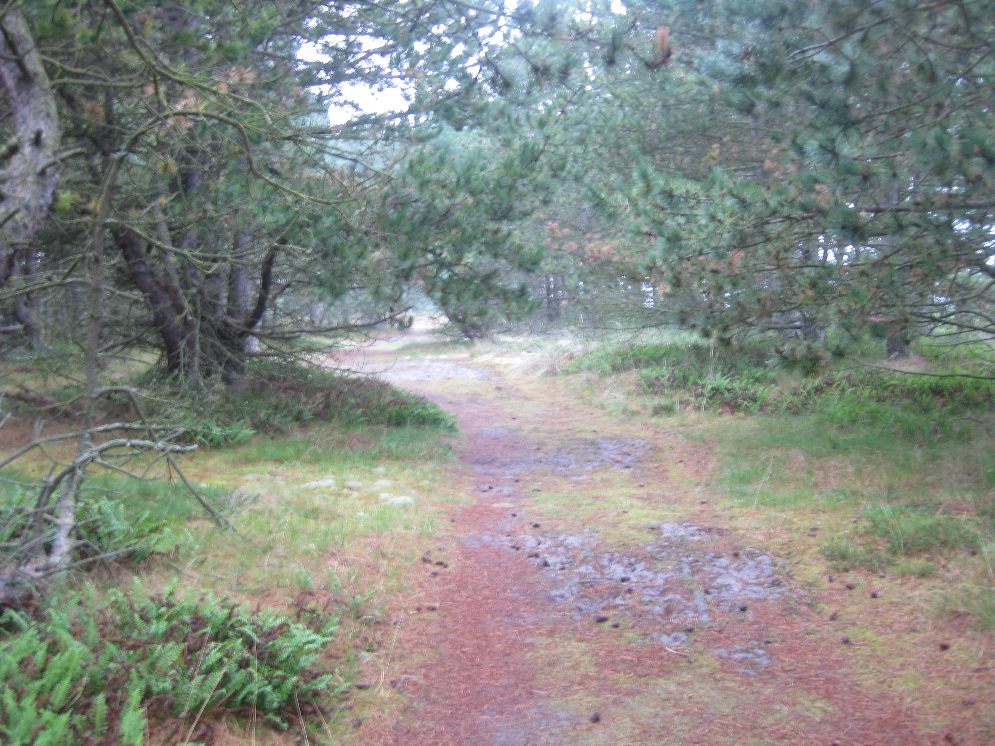 60 KM Wanderung um Sams&ouml; (20.08.2020)