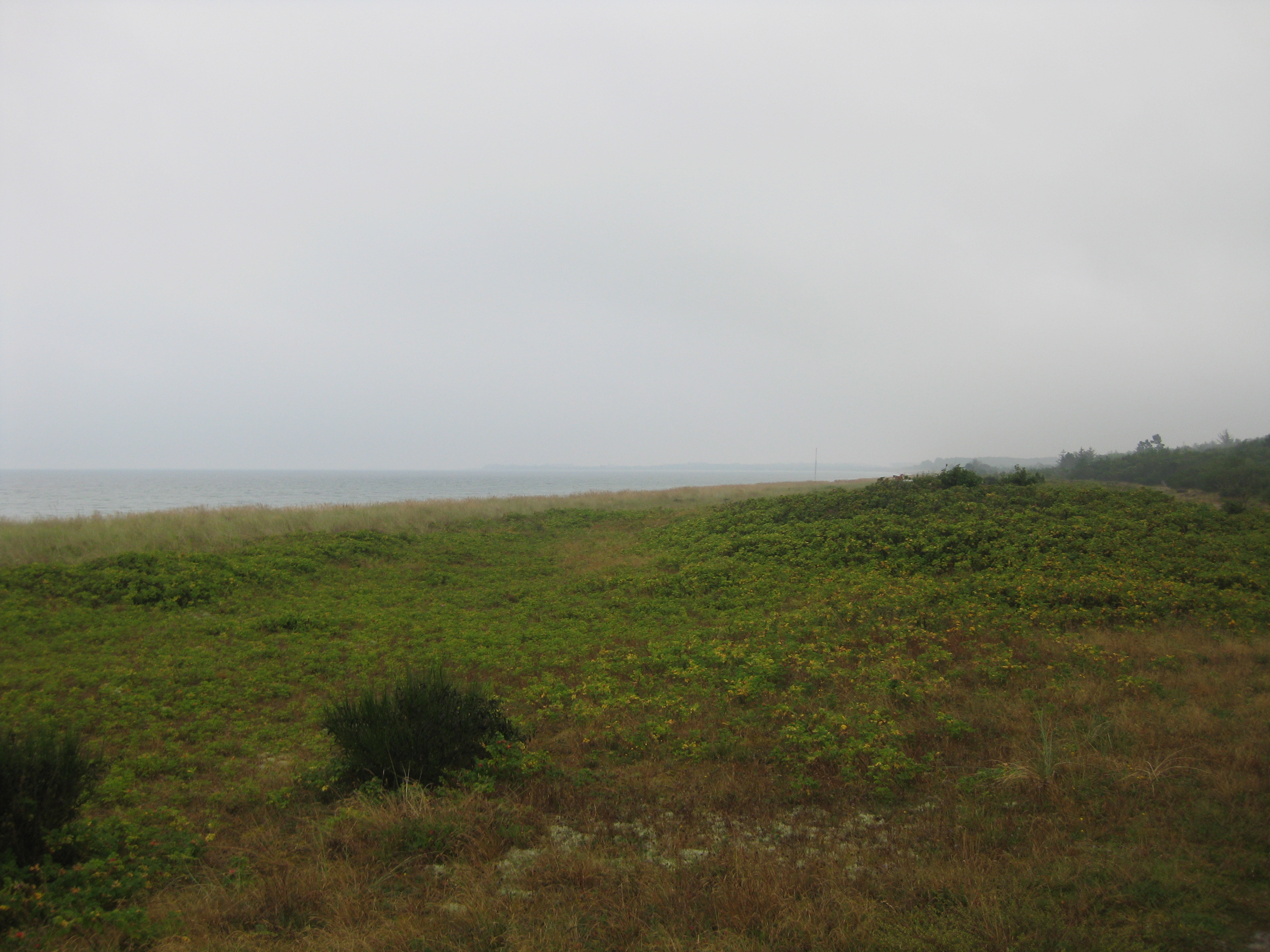 60 KM Wanderung um Sams&ouml; (20.08.2020)