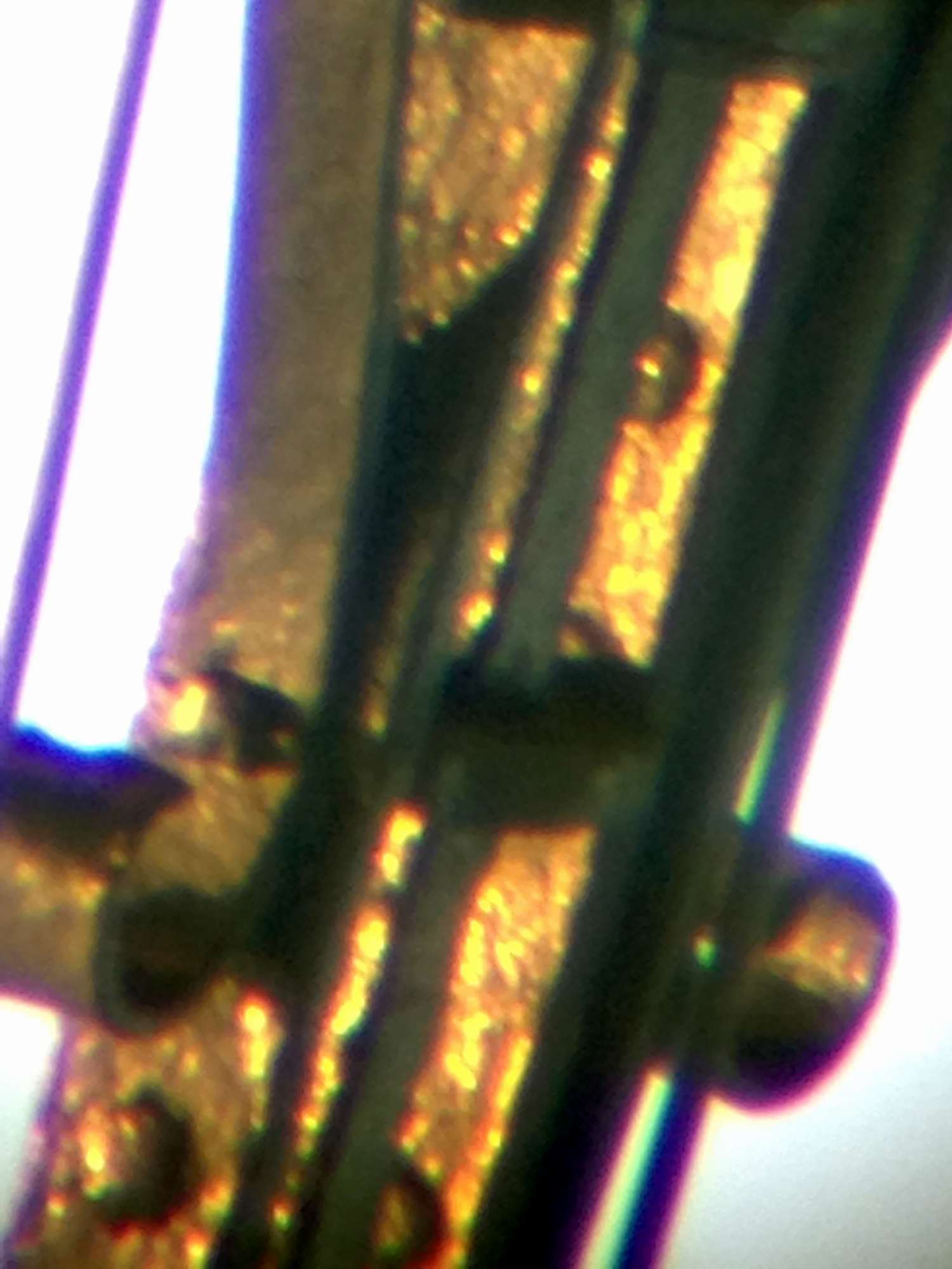 Klassiker: Kosmos Stuttgart FH-Refraktor 110/1500mm