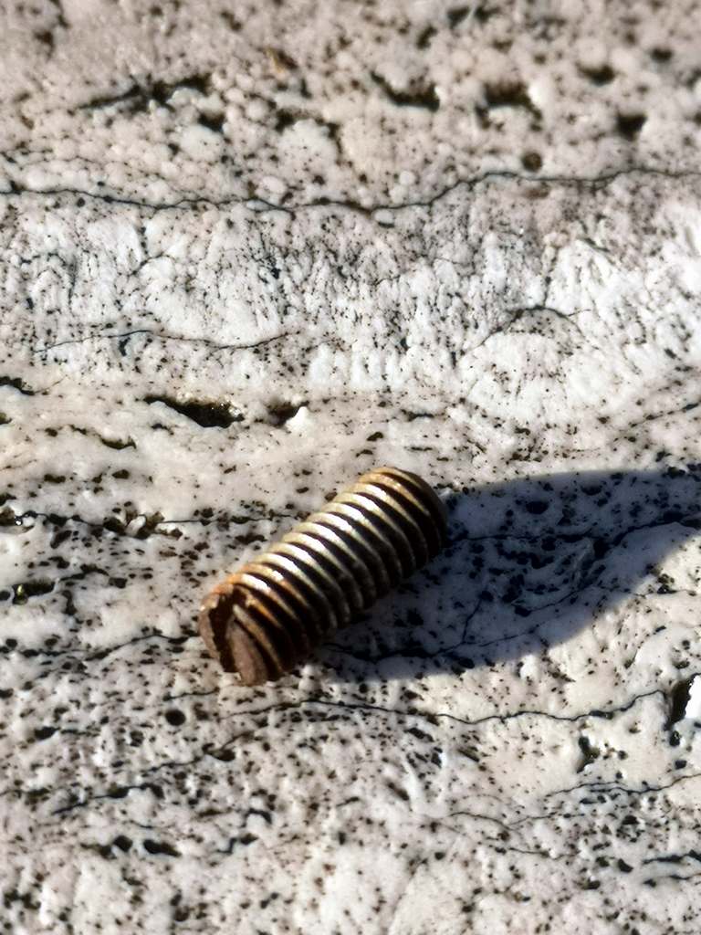 Lichtenknecker Schaerrefraktor FH 150/3000mm