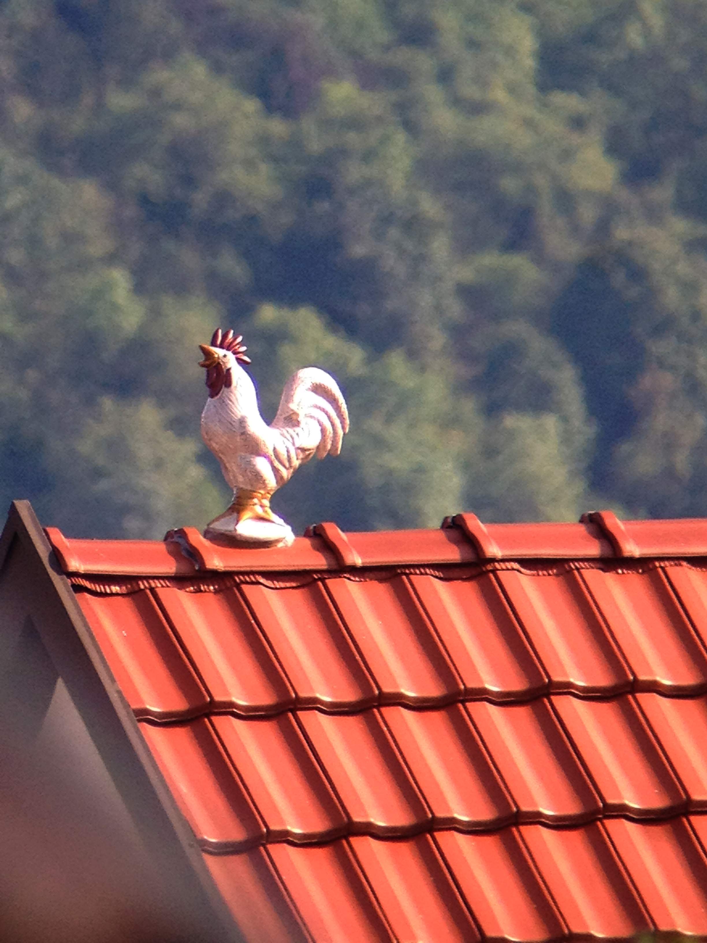 Tasco 66T Refraktor 50/600mm