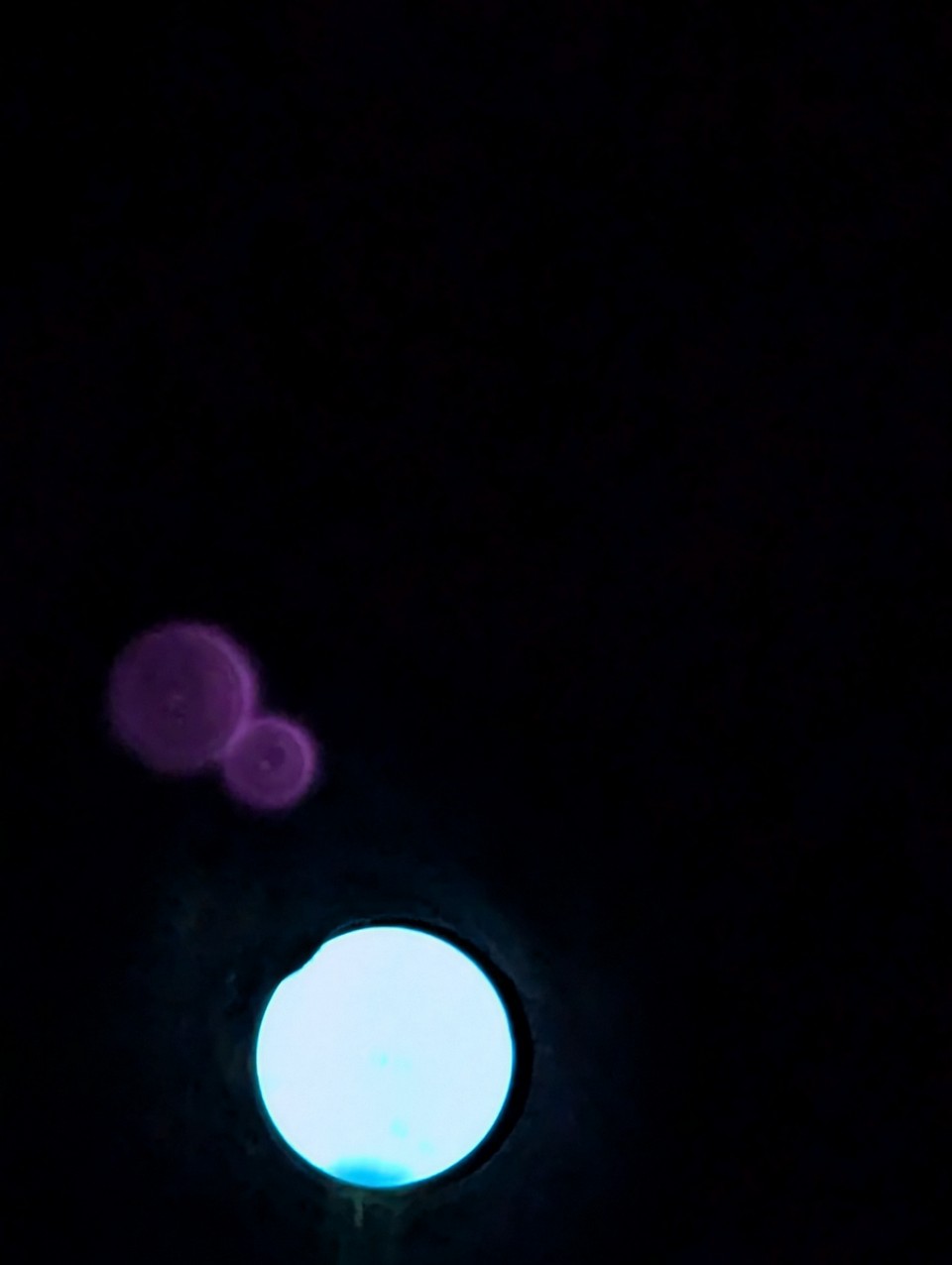 Royal Astro D-77/Tasco 10-TE 5 76.2/1200mm-Refraktor