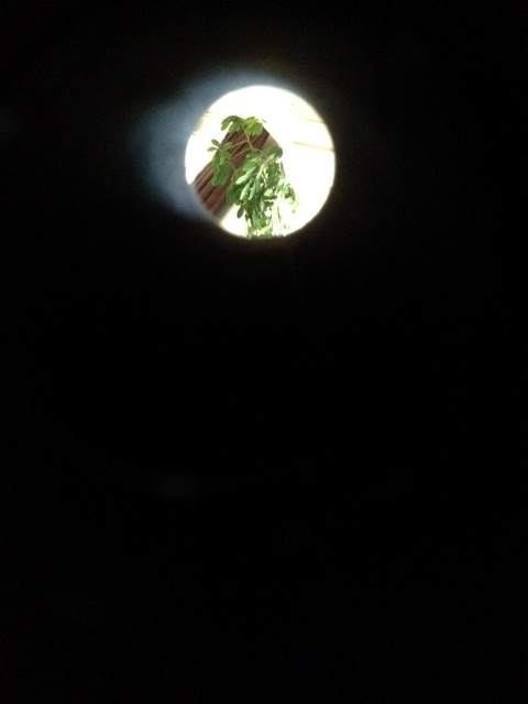 Spielzeug, die Zweite ... "Orbinar" Refraktor 70/400mm