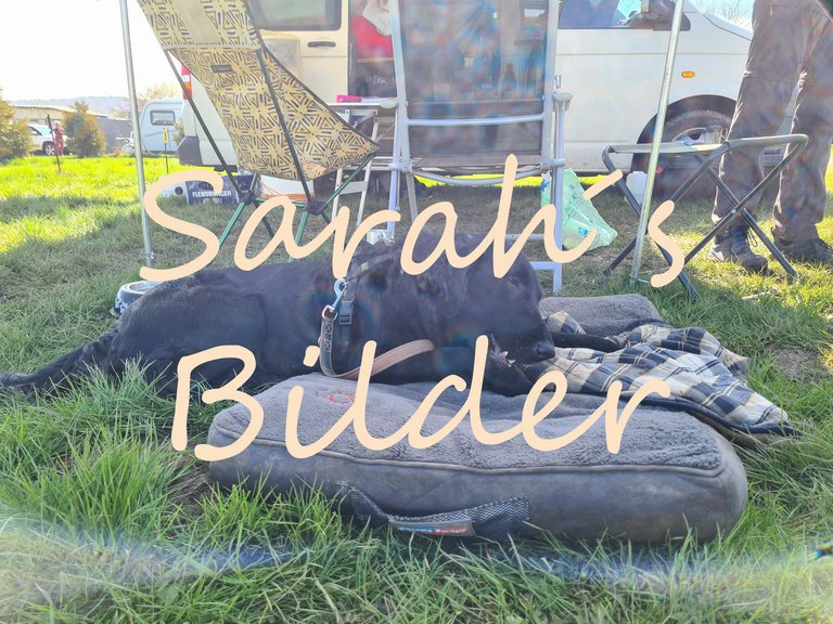 20230421_10sarah.JPG