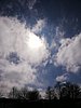 IMG_20230421_104937.jpg