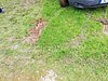 IMG_20230423_105657.jpg